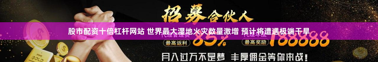 股市配资十倍杠杆网站 世界最大湿地火灾数量激增 预计将遭遇极端干旱