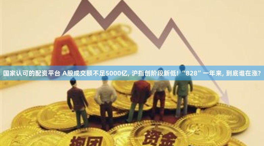 国家认可的配资平台 A股成交额不足5000亿, 沪指创阶段新低! “828”一年来, 到底谁在涨?