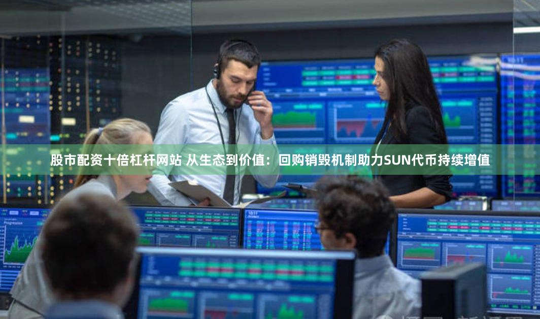 股市配资十倍杠杆网站 从生态到价值：回购销毁机制助力SUN代币持续增值